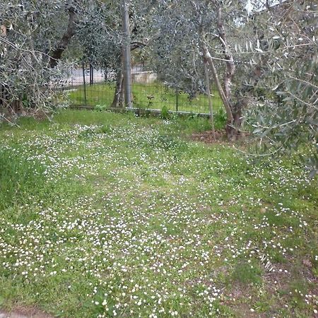 Montepulciano Stazione Casa Gli Uliviヴィラ エクステリア 写真