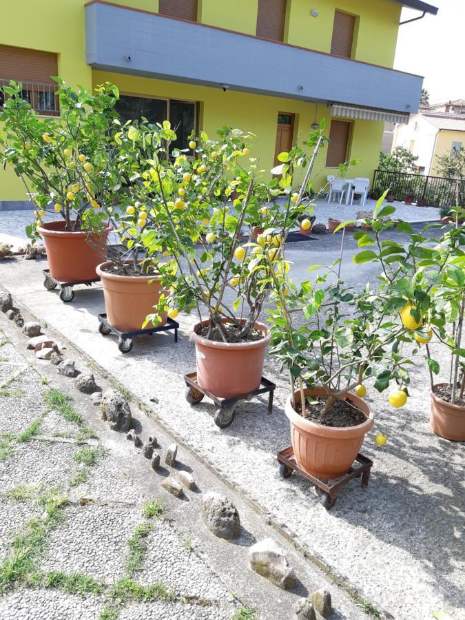 Montepulciano Stazione Casa Gli Uliviヴィラ エクステリア 写真