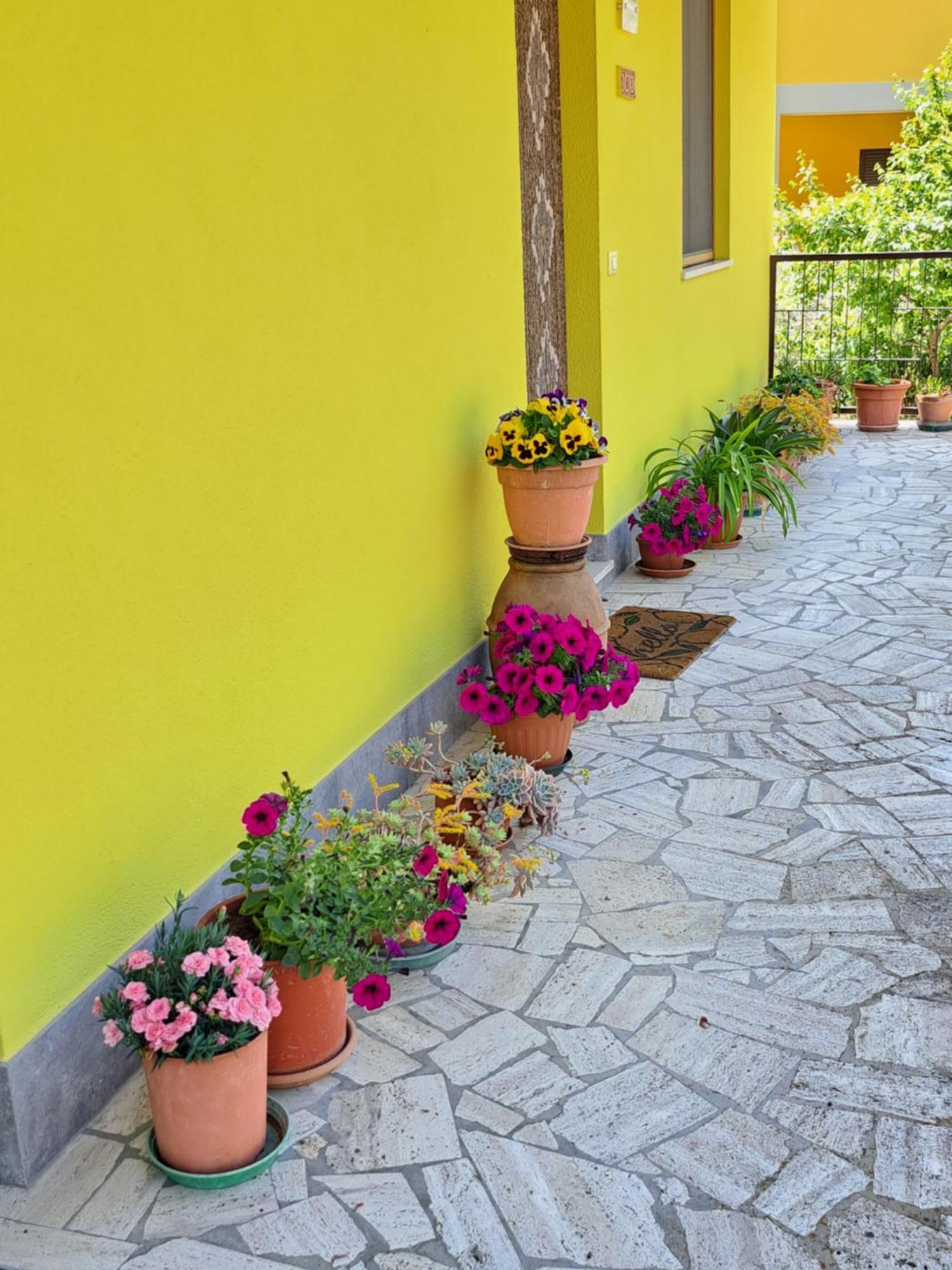 Montepulciano Stazione Casa Gli Uliviヴィラ エクステリア 写真
