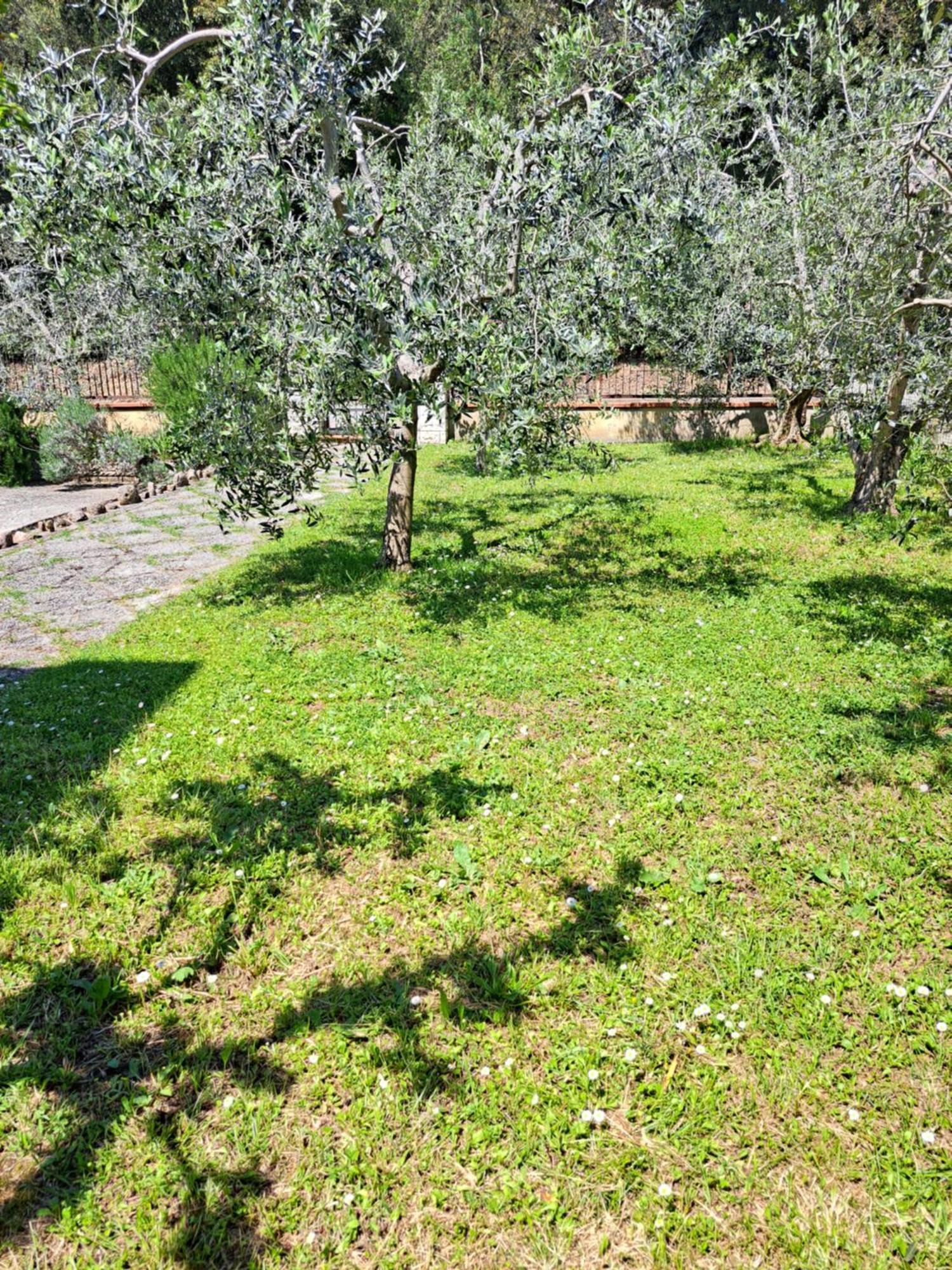 Montepulciano Stazione Casa Gli Uliviヴィラ エクステリア 写真