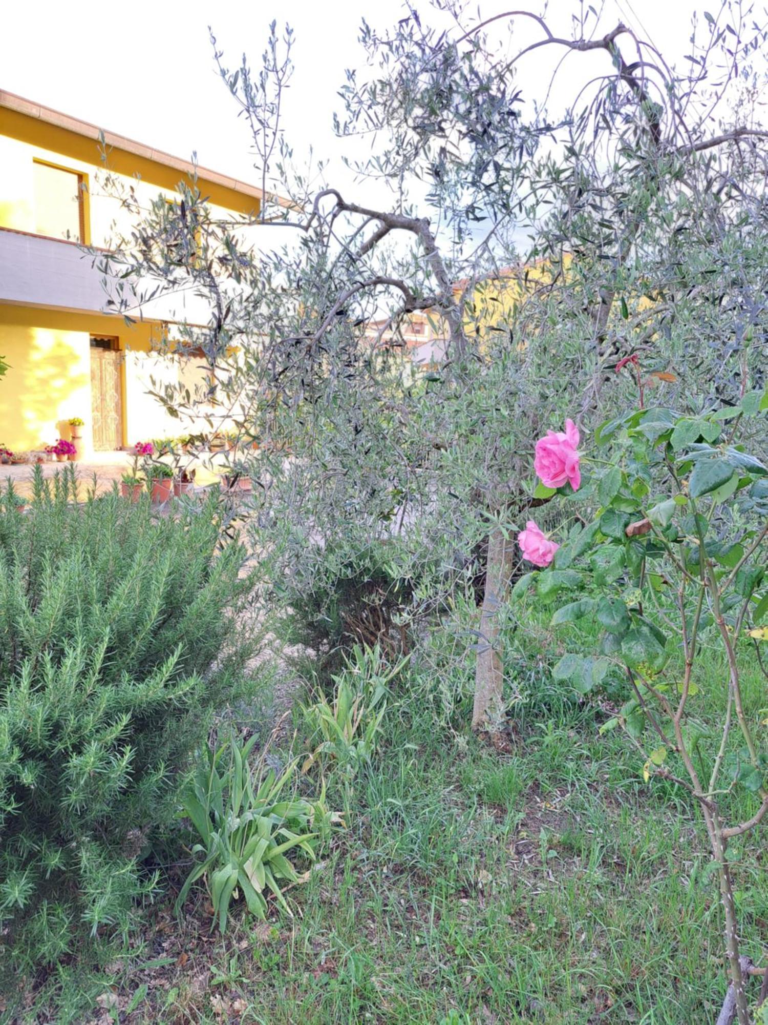 Montepulciano Stazione Casa Gli Uliviヴィラ エクステリア 写真