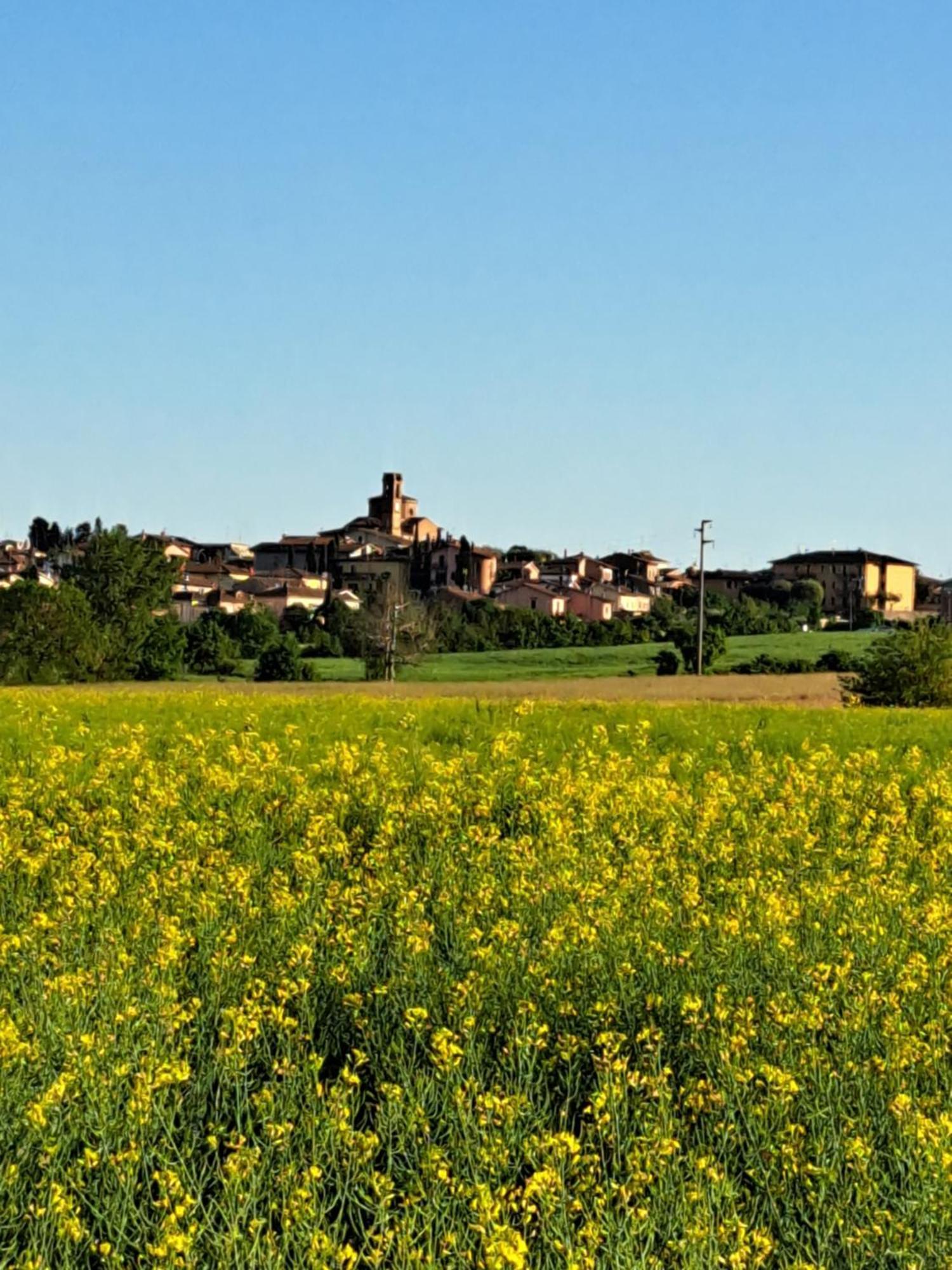 Montepulciano Stazione Casa Gli Uliviヴィラ エクステリア 写真